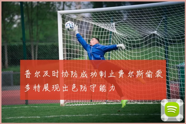 普尔及时协防成功制止费尔斯偷袭多特展现出色防守能力
