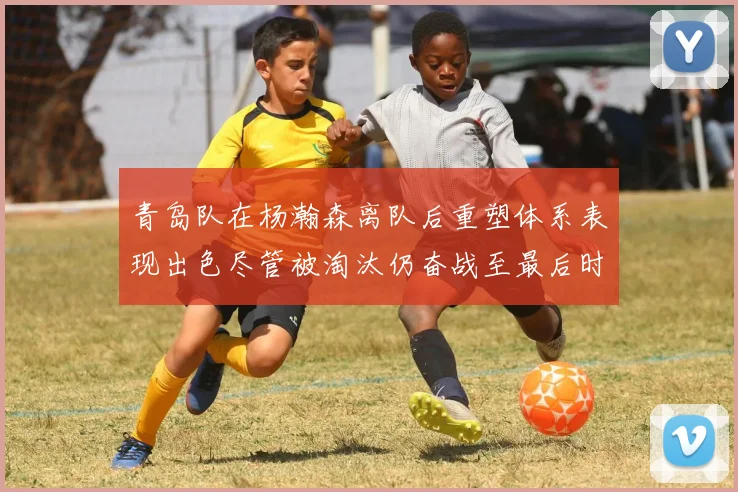 青岛队在杨瀚森离队后重塑体系表现出色尽管被淘汰仍奋战至最后时刻