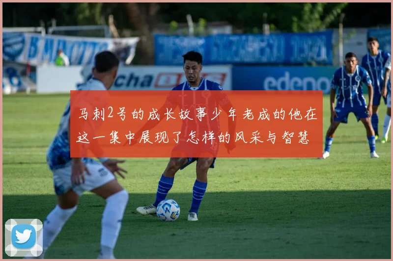 马刺2号的成长故事少年老成的他在这一集中展现了怎样的风采与智慧
